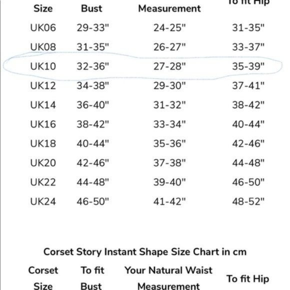 Corset Story Silver Glitter Steel Boned Corset - Picture 4 of 10